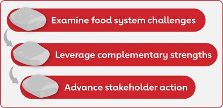 A flow chart showing the Food System Transformation process timeline. Described under the heading of process timeline.