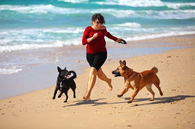 dogs woman running beach Do dog owners live longer